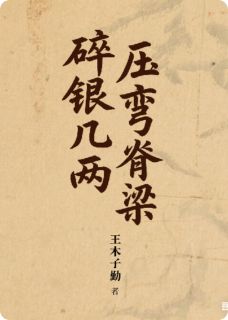 碎银几两压弯脊梁
