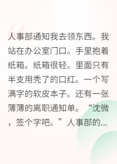 替身生涯：离职金一定要拿足