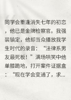 我亲手送你进监狱