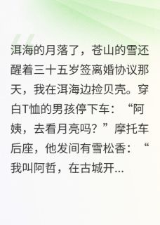 阿姨不可以·洱海月夜之恋