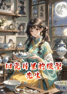 旧瓷片里的模型先生