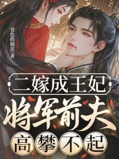 二嫁成王妃，将军前夫高攀不起
