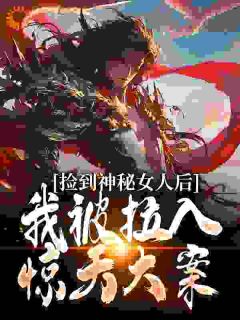 捡到神秘女人后，我被拉入惊天大案