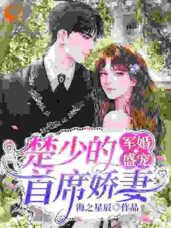 先婚后爱！高冷军官他宠妻上头