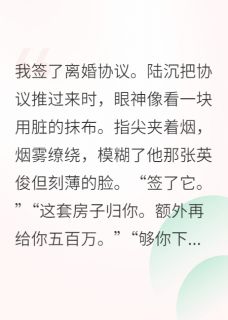 总裁的替身妻失踪，带龙凤胎归来