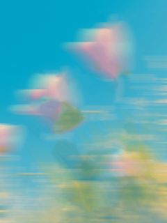 全村被灭后，我成了那个凶手