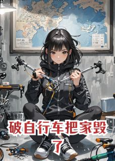 破自行车把家毁了