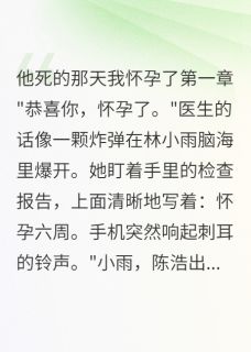 他死的那天我怀孕了