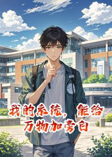 我的系统，能给万物加旁白