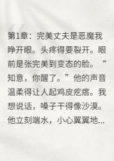 我被当替身，我联手真老婆杀疯