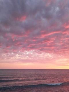 被偷换医学天赋惨死后，重生的我杀疯了