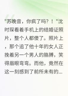 佛系总裁追我十年我闪婚了