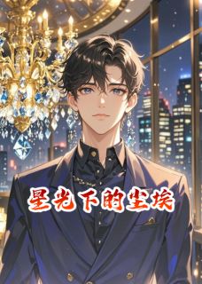 星光下的一粒尘埃