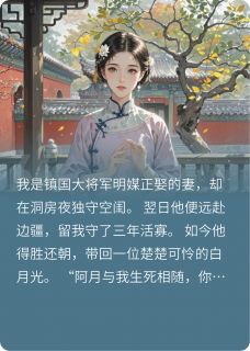 凤钗染尘：将军的反逻辑结局