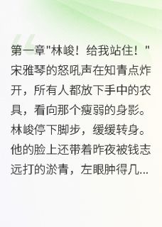 重回76年我拒绝首长女儿选择知青