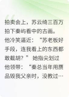 执笔为刃：秦先生，刀锋见情