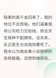 我死后三年，陆家上下溃不成军