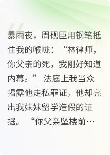 血色博弈：宿敌律师的致命合谋