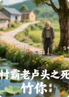 村霸老卢头之死