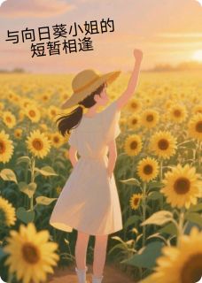 与向日葵小姐的短暂相逢