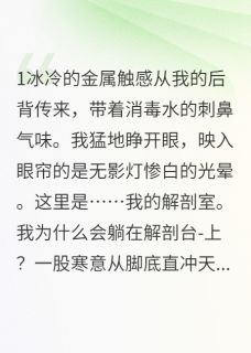 规则之下，尸体不说谎