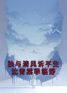 独与清风诉平生沈青棠季临野