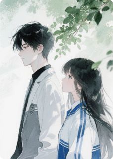 双生夏夜晚风来