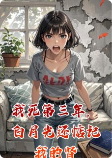我死第三年，白月光还惦记我的肾
