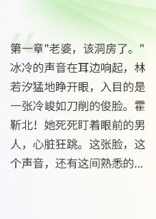 重生新婚夜病娇大佬被我撩疯了