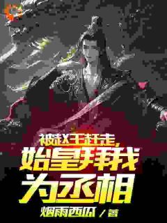 被赵王赶走，始皇拜我为丞相