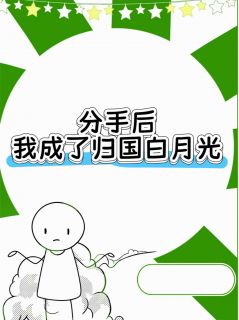 分手后，我成了归国白月光