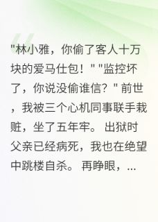 同事栽赃我偷包后，重生我杀疯了