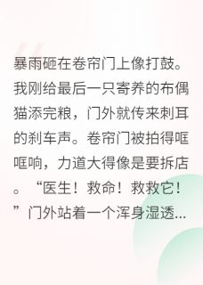 星际元帅退休后开宠物店