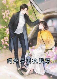 何处清风执我意
