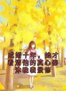 成婚十年，她才看清他的真心秦沐晚裴景修