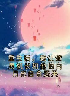 重生后，我让渣男机长和他的白月光自食恶果