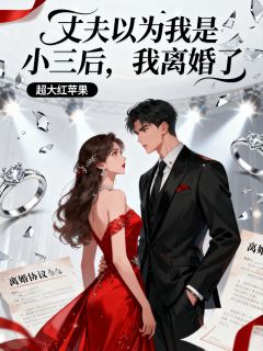 丈夫以为我是小三后，我离婚了