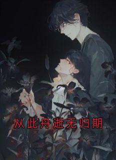 从此舟逝无归期