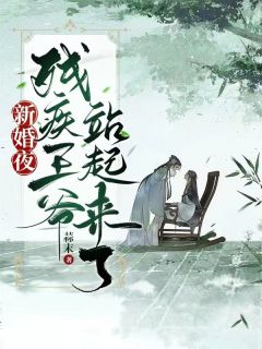 新婚夜残疾王爷站起来了