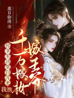 你拿军功娶白月光，我携千万嫁妆嫁王爷