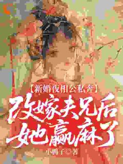 新婚夜相公私奔，改嫁夫兄后她赢麻了