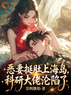 恶妻挺肚上海岛，科研大佬沦陷了