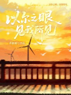 以尔之眼，见我所见