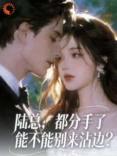 陆总，都分手了能不能别来沾边？