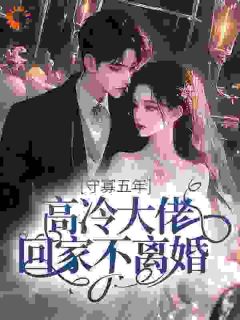 守寡五年，高冷大佬回家不离婚