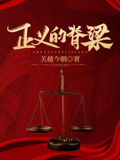 《正义的脊梁》赵林然金有财小说完整在线阅读

