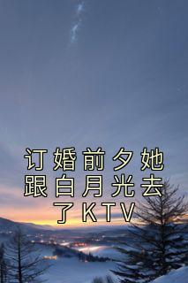 订婚前夕她跟白月光去了KTV章节目录小说-江城叶轻语免费阅读全文
